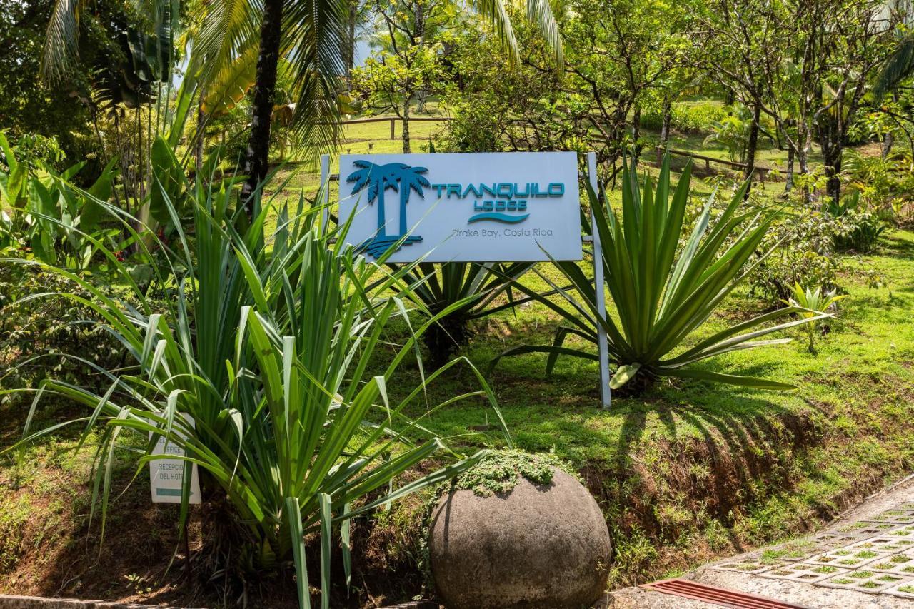 The Tranquilo Lodge, Adult Only, All Meals Included Drake Bay Exterior foto